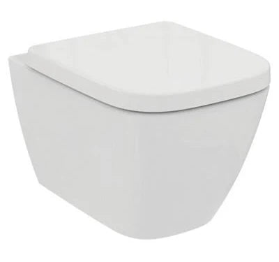 Wall Hung Toilet / Concealed System
