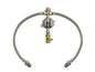 Manual Wall Mounted Gas Changeover with OPSO & Stainless Steel Pigtails | MB2C-MAN-429-POL-SS
