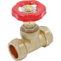 22mm Gate Valve