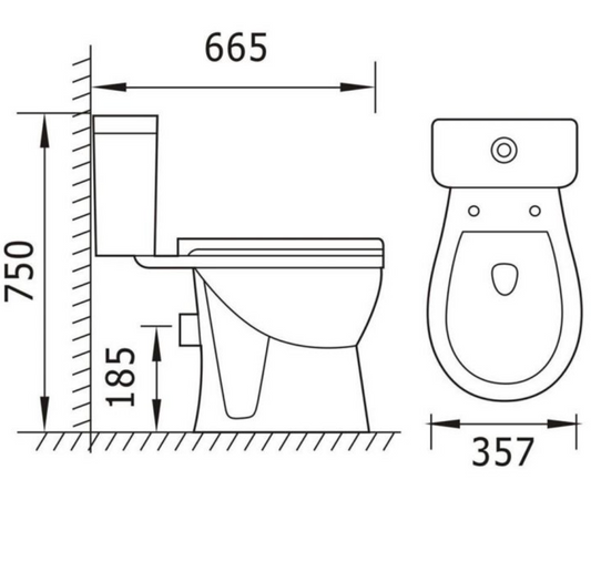 KARTELL PROTON RIMLESS TOILET WITH SOFT CLOSE SEAT